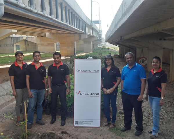 DFCC Bank launches staff tree-planting initiative as part of long-term sustainability and CSR drive