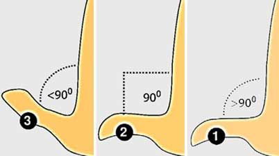 Judging traits and aptitudes by the Thumb