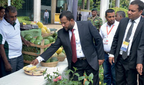 Commerce Minster says 40% of Sri Lanka’s SMEs in food sector