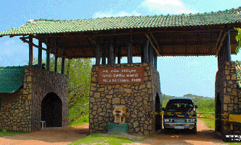 Yala National Park earns Rs.700 mn in 2017