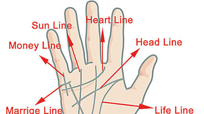 Lines: brain’s messages imprinted on palm