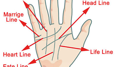  Main Lines on the palm - Line of Life