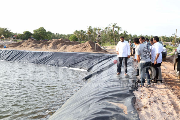 Minister visits Chilaw prawn farms