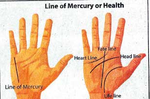 The Line of Mercury -indicator of longevity, health and business success