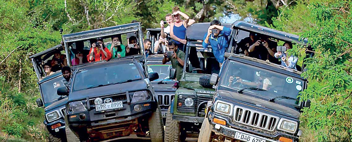 Mounting jeep safaris make Yala animals snarl