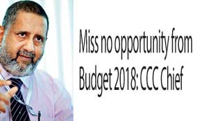 Miss no opportunity from Budget 2018: CCC Chief