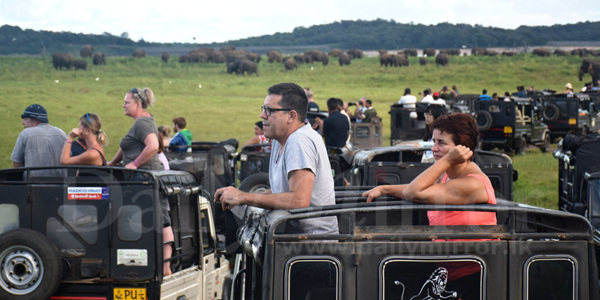 Kaudulla National Park crowded with tourists