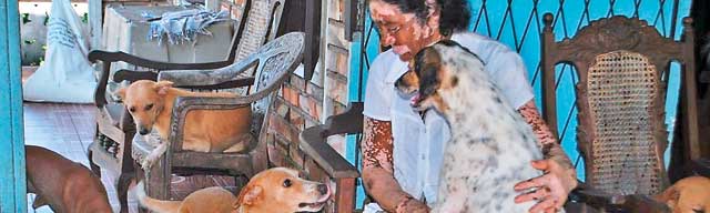 Christmas wish for Nandani’s shelter of hope