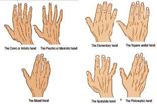 Spatulate Hand, Hand Shapes, Palmistry