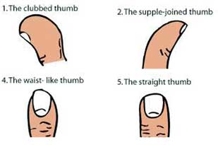 Thumb – Symbol of Will Power, Reason and Logic 