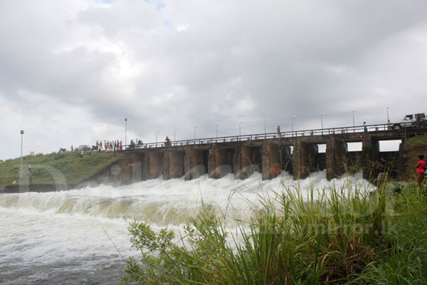 Sluice gates open at Parakrama Samudra