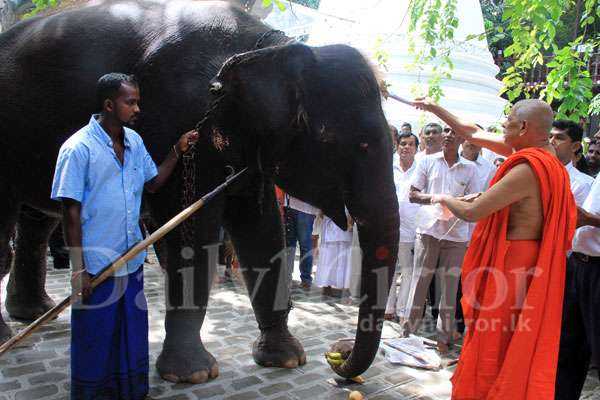 Oil anointing ceremony at Gangaramaya Temple