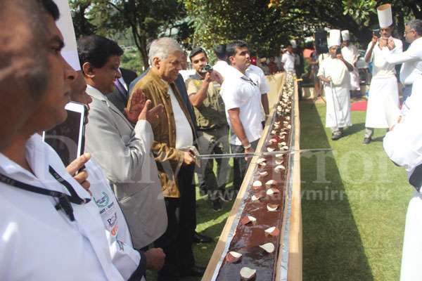 PM cuts world's longest cake