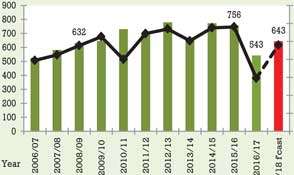 Paddy output set to recover this Maha season