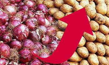 Increase on import levy on potatoes, big onions from tonight
