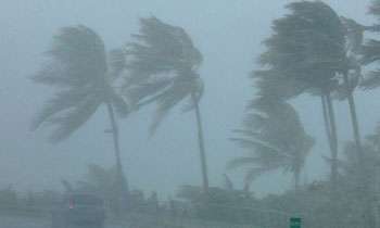 Windy condition expected to develop: Met. Dept