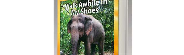 Walk Awhile in My Shoes : A book that must be read