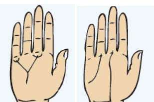 Read your fortune  from the yogas formed on your palm – Part X1V