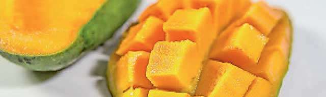 The sun shines  on mango farmers  of Minuwangoda