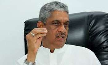 Two elephants of Sinharaja to be kept in separate area: SF