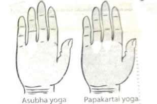 Read you fortune from yogas formed on your palm  – Part XV11