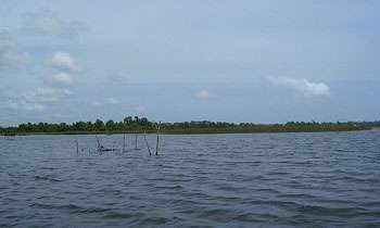 Body found floating in Bolgoda Lake