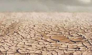 Drought in Kilinochchi brings misery to thousands