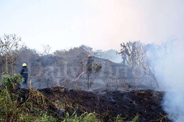 Fire at Bloemendhal garbage dump