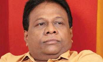 Milk packets: Govt. should take responsibility: JO