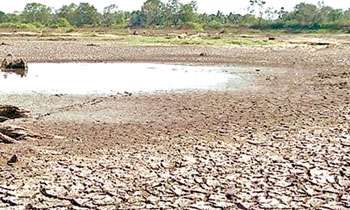 62,528 people affected by drought in Puttalam