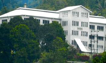 'Atha Kota's associates instill fear psychosis among estate workers in Deraniyagala