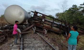 Three jumbos killed by train collision