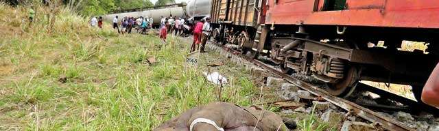 Rumble of death on the railroad track