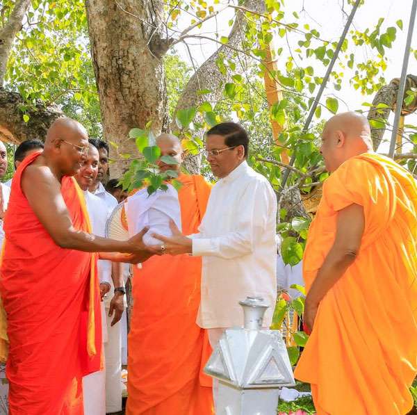 Bo-sapling of Sri Maha Bodhi to be sent to Berlin temple