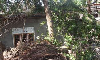 Gale-force winds damage houses in Puttalam, Mannar