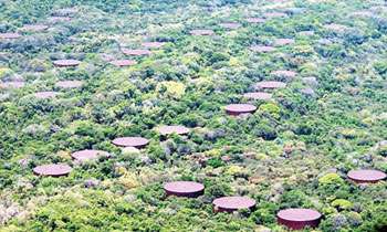 No decision to sell Trinco Oil Tank Farm: Ranatunga