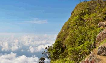  Search ops to locate German tourist fell from World’s end