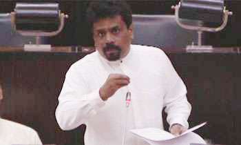 All operations of Temple Trees should be stopped: JVP