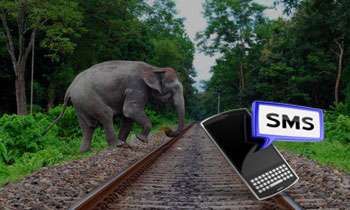 Railways launches SMS alerts to prevent elephant collisions