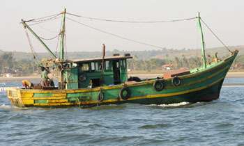 Maldives seizes Lankan boat carrying shark carcasses
