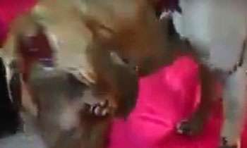 Police probes setting a dog on fire on 31st