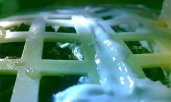 China's Moon mission sees first seeds sprout