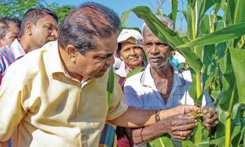 Spread of ‘fall armyworm’; Not an act of sabotage: Harrison