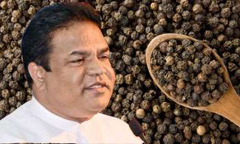 Govt. will stop pepper imports: Harrison