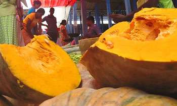 Pumpkin consumption enhances beauty of women: Agri Minister   