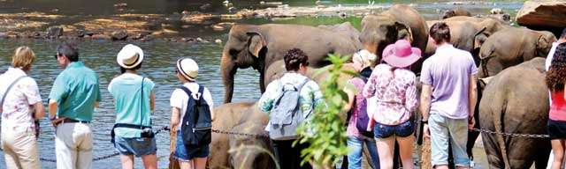 Unauthorised Chinese guides threaten SL tourism