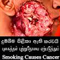 Cigarette: Pictorial warning passed