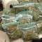 Rescued Lankan, a ganja smuggler
