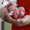 Parents sell infant for Rs. 50,000; buy house for Rs. 18,000