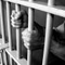 Maithree's son remanded